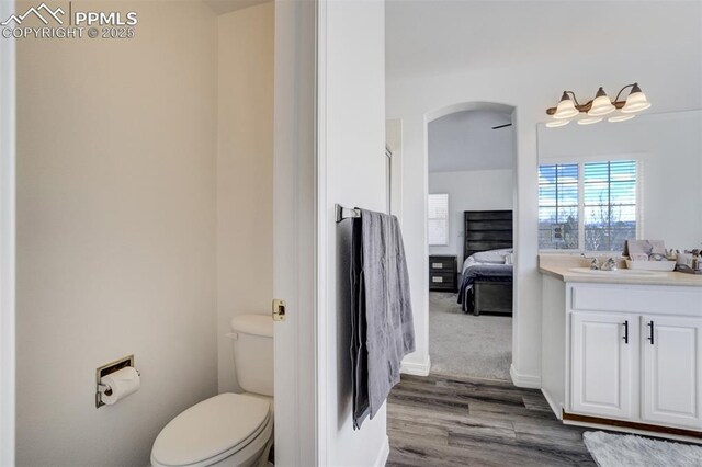 ensuite bathroom with vanity, wood finished floors, toilet, baseboards, and ensuite bathroom