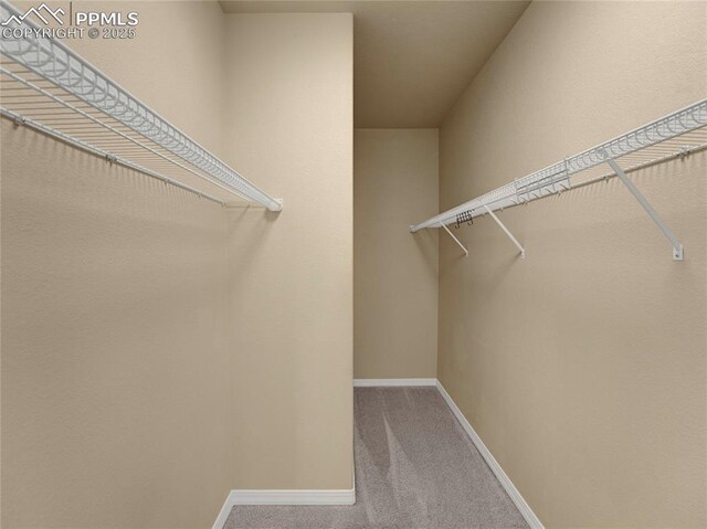 2174 Alpine Shadows Vw, Colorado Springs, CO 80919 - spacious closet featuring carpet floors