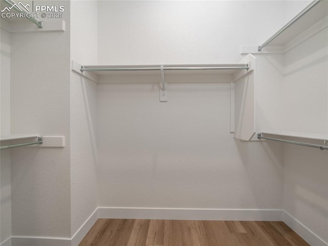 3188 Virga Loop, Colorado Springs, CO 80904 - walk in closet featuring wood finished floors