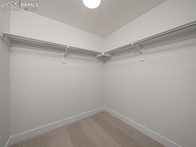 3188 Virga Loop, Colorado Springs, CO 80904 - walk in closet featuring carpet
