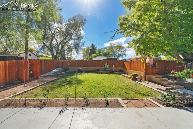 view of yard featuring a fenced backyard