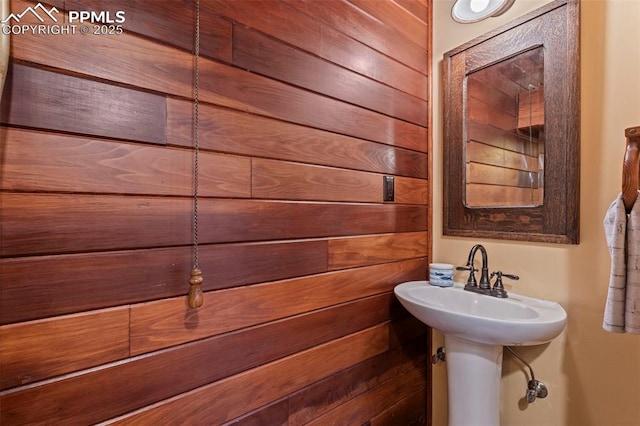 bathroom featuring wooden walls