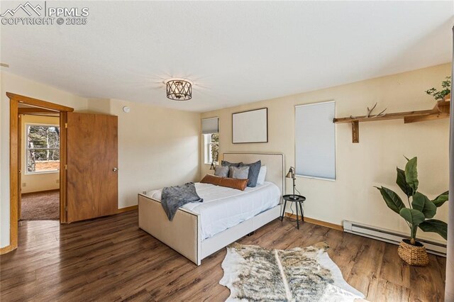 3543 Blue Mesa Dr, Divide, CO 80814 - bedroom with wood finished floors, baseboards, and a baseboard radiator