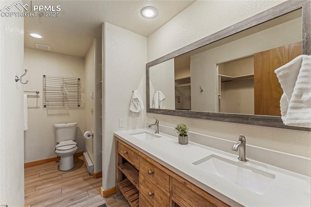 3543 Blue Mesa Dr, Divide, CO 80814 - bathroom featuring wood finished floors, toilet, double vanity, baseboards, and recessed lighting