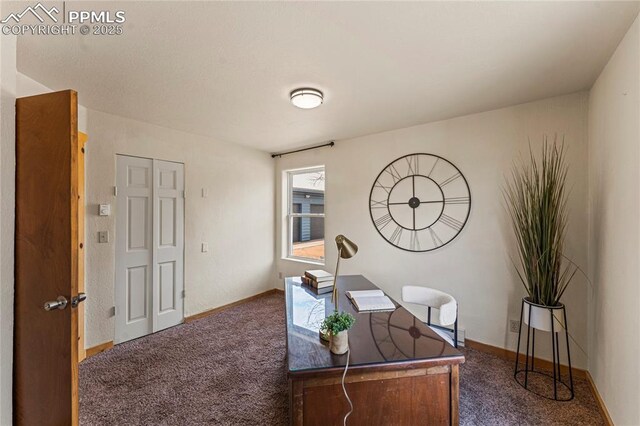 3543 Blue Mesa Dr, Divide, CO 80814 - office space with carpet and baseboards
