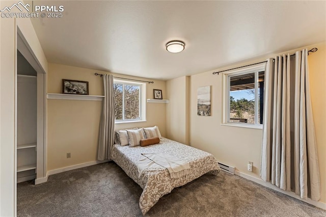 3543 Blue Mesa Dr, Divide, CO 80814 - bedroom with a baseboard radiator, dark carpet, multiple windows, and baseboards