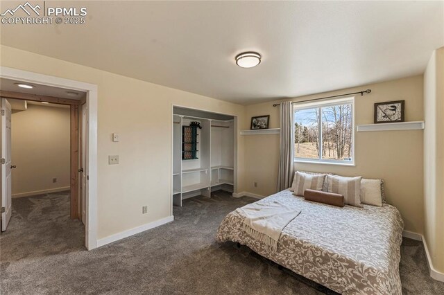 3543 Blue Mesa Dr, Divide, CO 80814 - bedroom with dark carpet, baseboards, and a closet