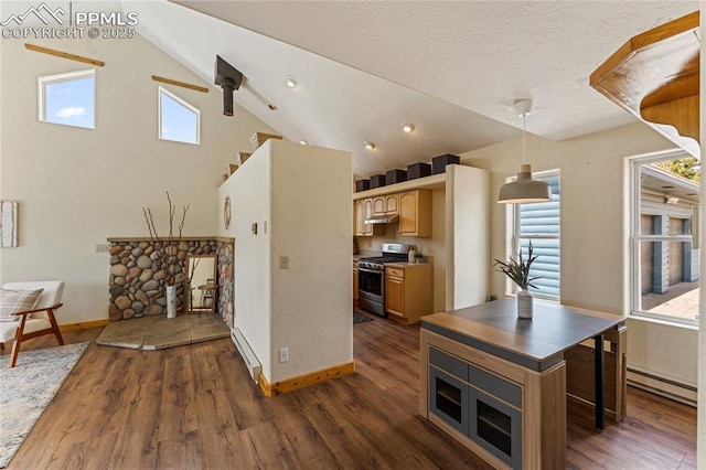 3543 Blue Mesa Dr, Divide, CO 80814 - kitchen featuring gas range, a baseboard heating unit, dark wood-type flooring, vaulted ceiling, and a textured ceiling