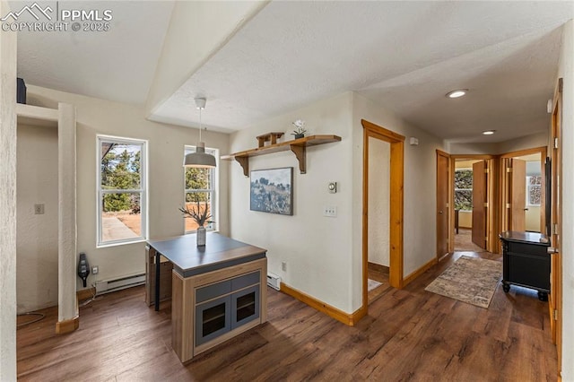 3543 Blue Mesa Dr, Divide, CO 80814 - dining room with dark wood finished floors, baseboards, baseboard heating, healthy amount of natural light, and recessed lighting