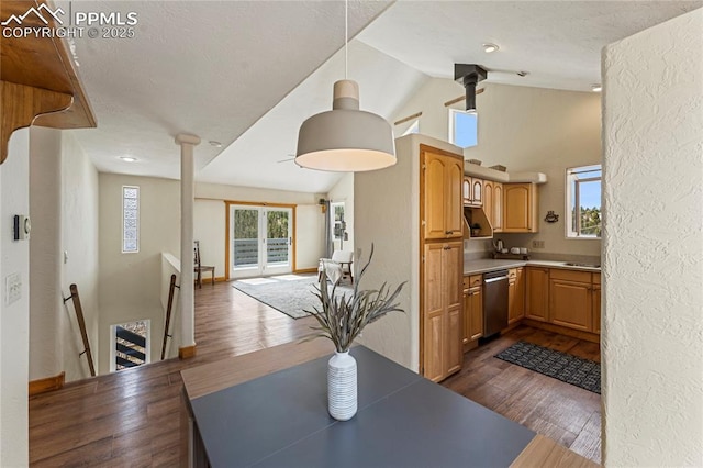 3543 Blue Mesa Dr, Divide, CO 80814 - kitchen with stainless steel dishwasher, lofted ceiling, dark wood-style flooring, pendant lighting, and baseboards