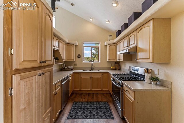 3543 Blue Mesa Dr, Divide, CO 80814 - kitchen with appliances with stainless steel finishes, under cabinet range hood, light brown cabinetry, a sink, and lofted ceiling