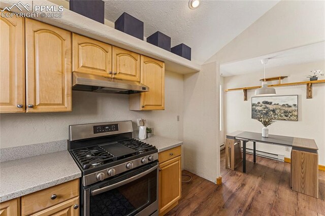 3543 Blue Mesa Dr, Divide, CO 80814 - kitchen featuring stainless steel gas range oven, under cabinet range hood, baseboard heating, dark wood-type flooring, and vaulted ceiling