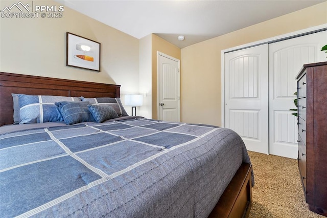 bedroom featuring carpet and a closet
