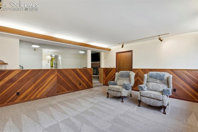 living area featuring wooden walls, rail lighting, wainscoting, and carpet