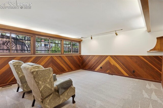 living area with carpet flooring, rail lighting, wood walls, and wainscoting