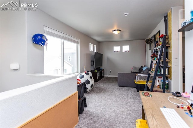 interior space with carpet
