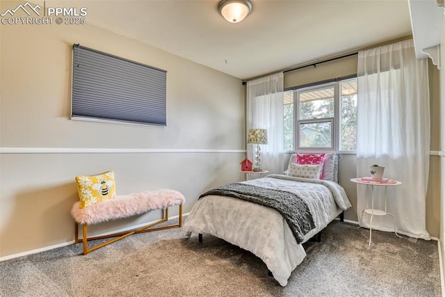 bedroom with carpet floors