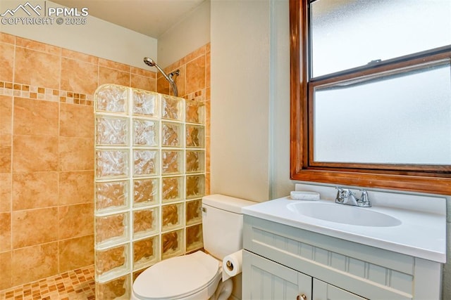 bathroom featuring vanity, walk in shower, and toilet