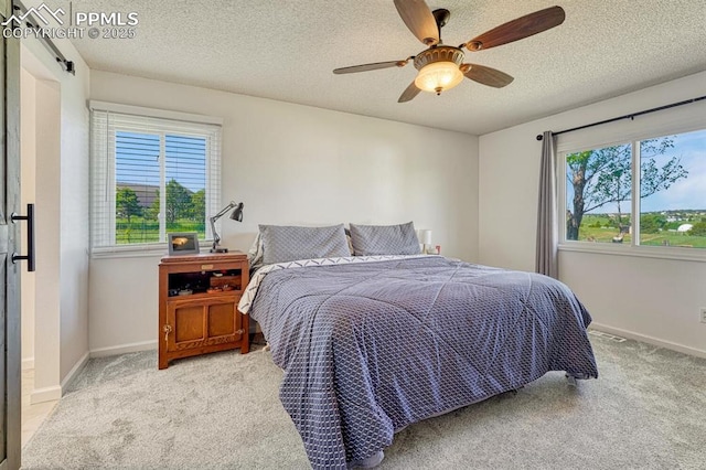 16440 Eastonville Rd, Elbert, CO 80106 - carpeted bedroom with multiple windows, a textured ceiling, and ceiling fan