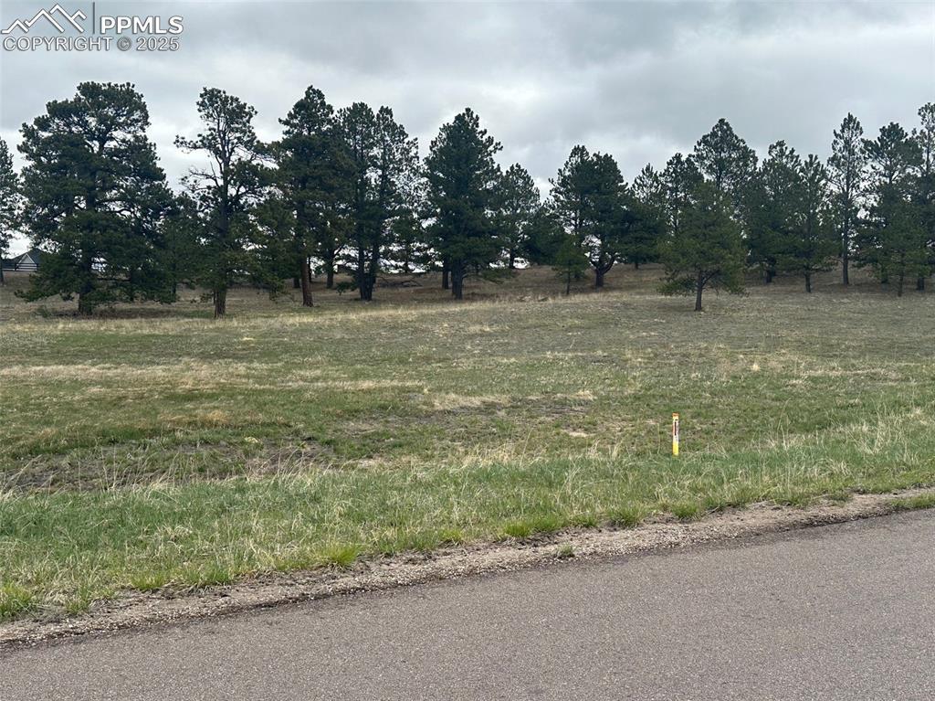 11072 Mosey Trl, Colorado Springs, CO 80908