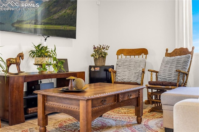 living area featuring wood finished floors