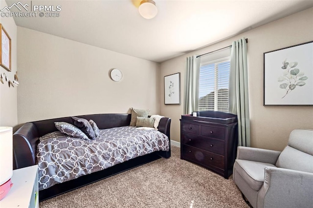 2972 Namib Dr, Colorado Springs, CO 80939 - bedroom with carpet flooring
