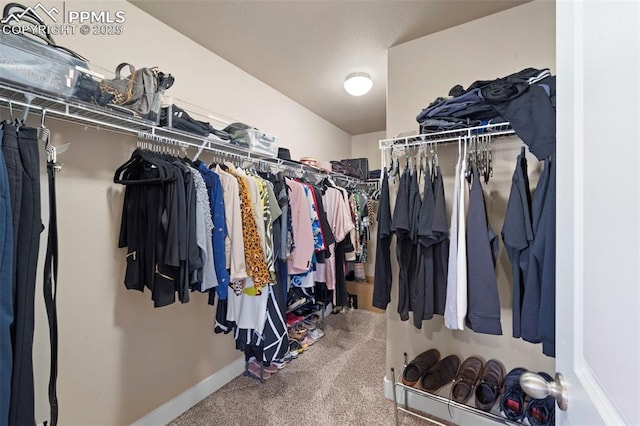 2972 Namib Dr, Colorado Springs, CO 80939 - spacious closet with carpet floors
