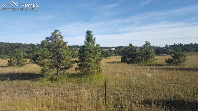 16935 Oldborough Hts, Monument, CO 80132