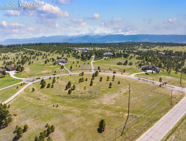 16935 Oldborough Hts, Monument, CO 80132