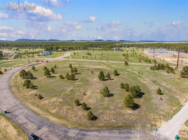 16935 Oldborough Hts, Monument, CO 80132