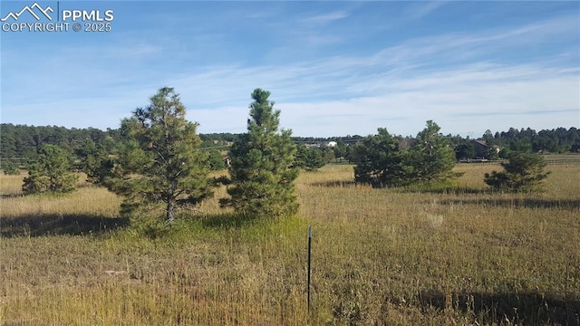16935 Oldborough Hts, Monument, CO 80132