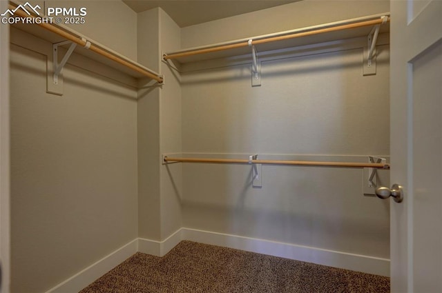 275 Eclipse Dr, Colorado Springs, CO 80905 - walk in closet featuring carpet