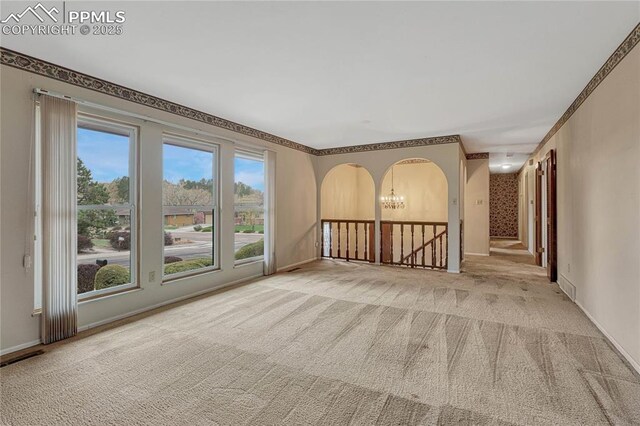 10 Gold Coin Ct, Colorado Springs, CO 80919 - unfurnished room featuring carpet floors, ornamental molding, and baseboards