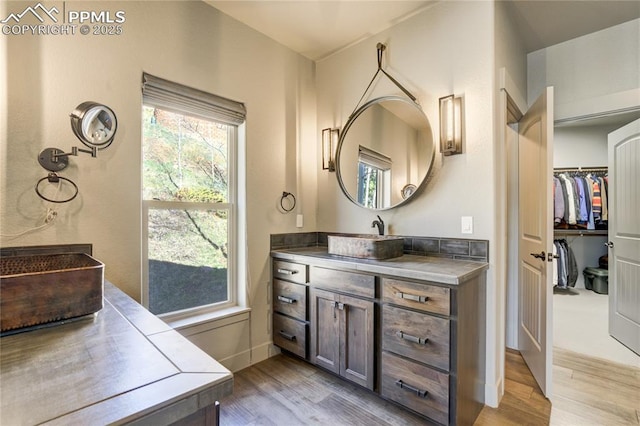 bathroom with baseboards, a spacious closet, wood finished floors, and vanity