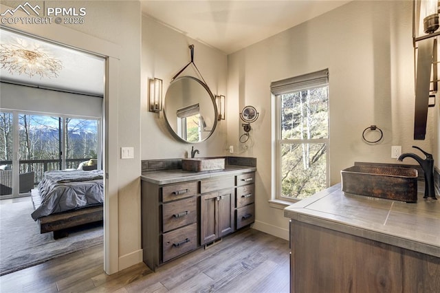 bathroom with a healthy amount of sunlight, baseboards, and wood finished floors