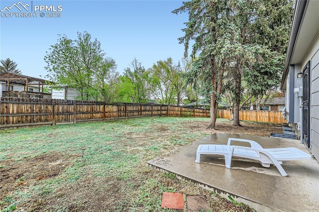 view of yard with a fenced backyard and a patio area