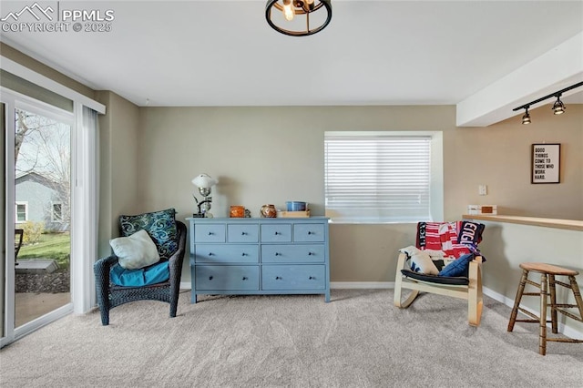 sitting room with a healthy amount of sunlight, carpet floors, baseboards, and track lighting