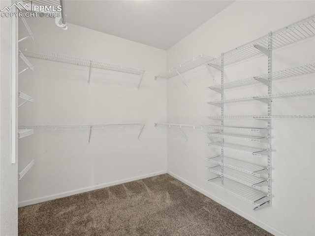 walk in closet with carpet