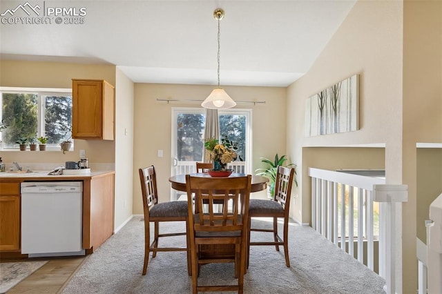 dining space featuring plenty of natural light and light wood-type flooring
