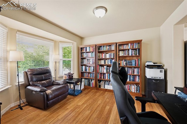 office space with baseboards, wood finished floors, and a wealth of natural light