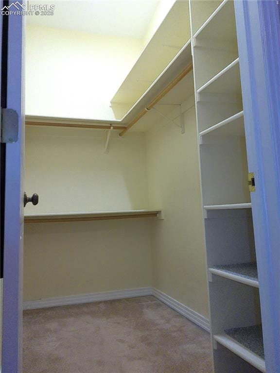 spacious closet featuring carpet