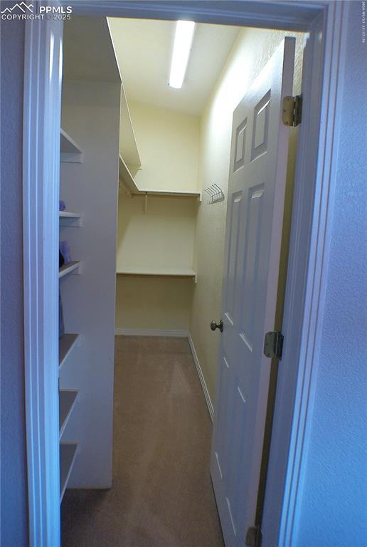 spacious closet featuring dark carpet