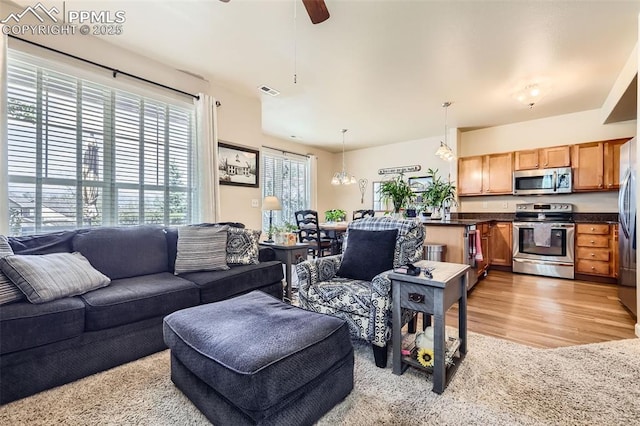 4338 Alder Springs Vw, Colorado Springs, CO 80922 - living area featuring a ceiling fan and light wood-style floors