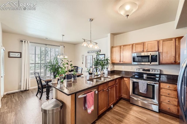 4338 Alder Springs Vw, Colorado Springs, CO 80922 - kitchen with appliances with stainless steel finishes, a sink, wood finished floors, and a peninsula
