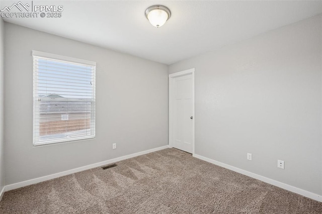 7318 Dutch Loop, Colorado Springs, CO 80925 - empty room with carpet floors, baseboards, and a healthy amount of sunlight