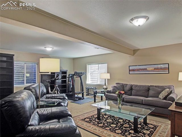 6996 Mustang Rim Dr, Colorado Springs, CO 80923 - view of living area