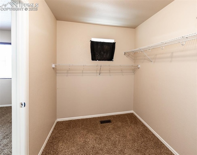 walk in closet featuring carpet floors and visible vents