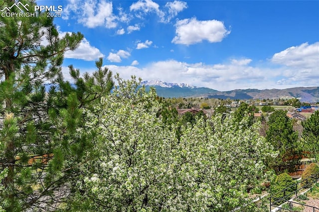 view of mountain feature