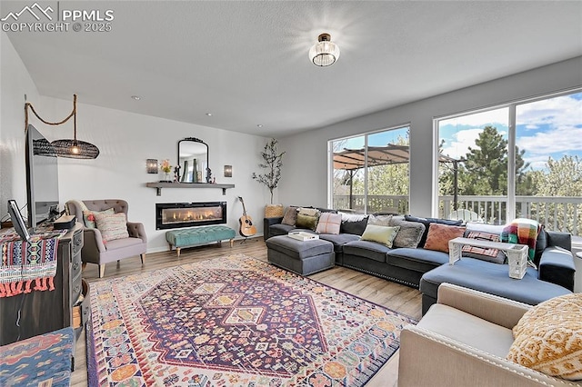 living area featuring a glass covered fireplace and wood finished floors