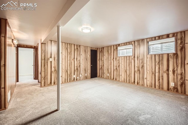 below grade area with visible vents and carpet